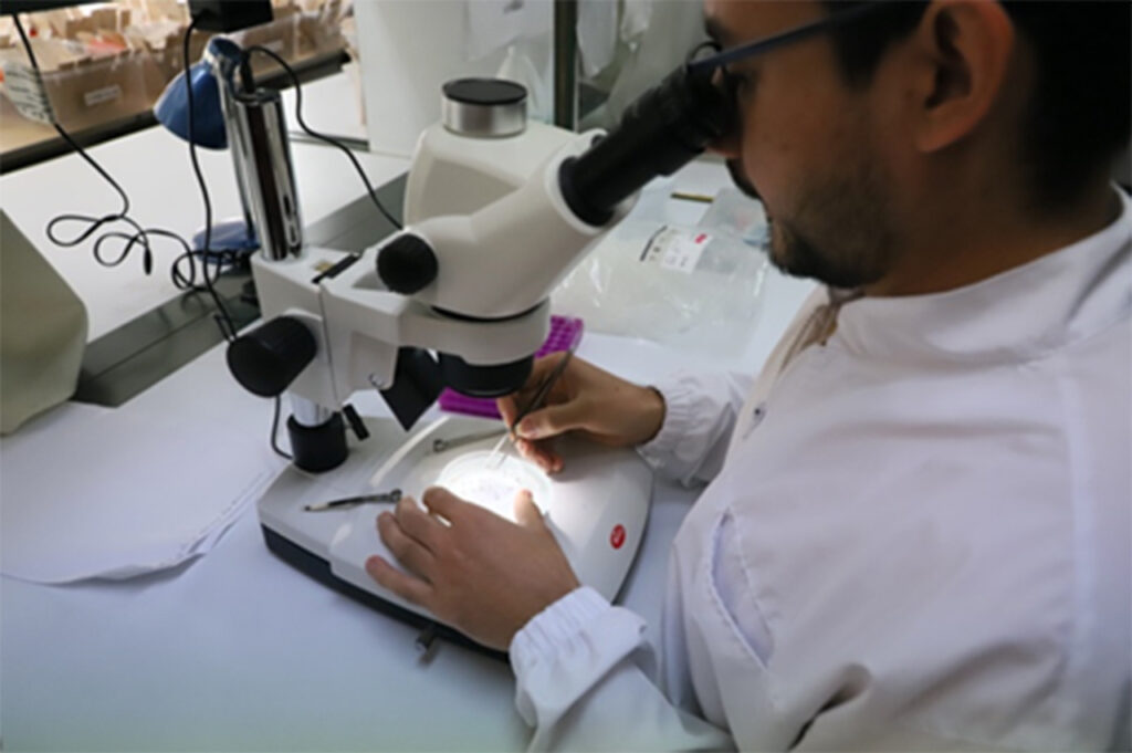 Prevención del dengue en Medellín