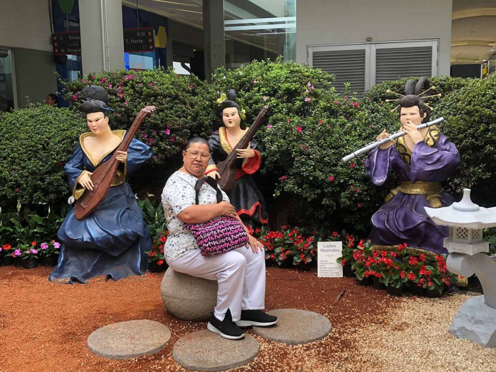 Exposición Bonsái Florece - Centro Comercial Sandiego