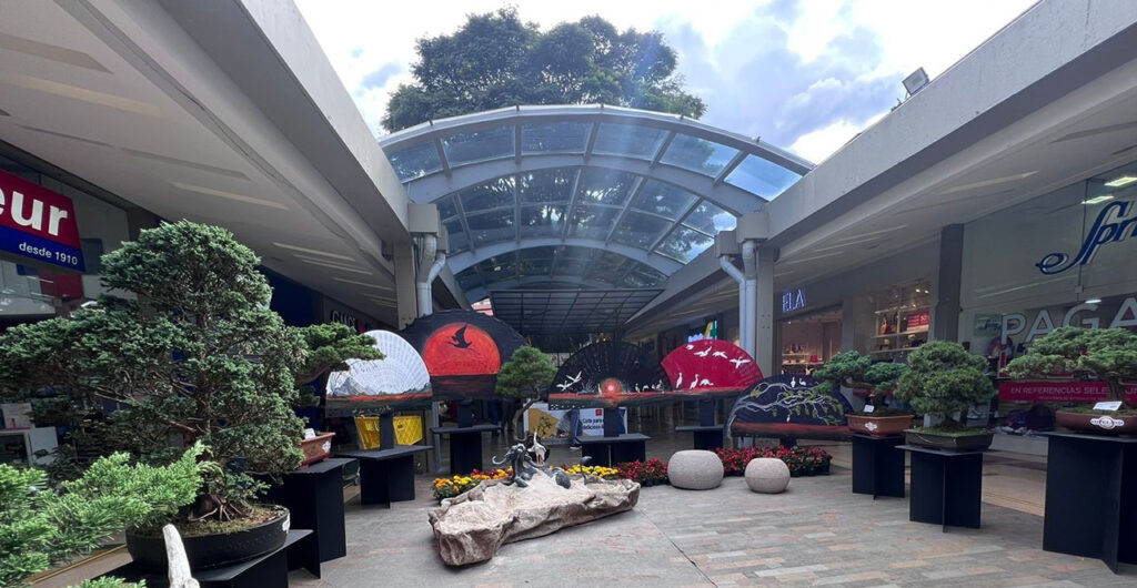 Exposición Bonsái Florece - Centro Comercial Sandiego