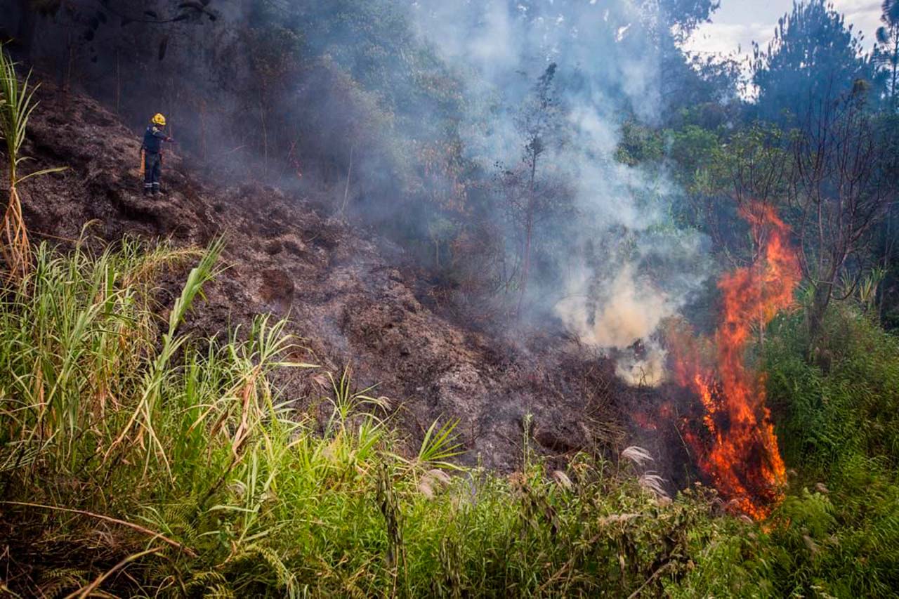 Ante un incremento del 395 % en incendios de cobertura vegetal, la Administración Distrital hace un llamado para prevenirlos