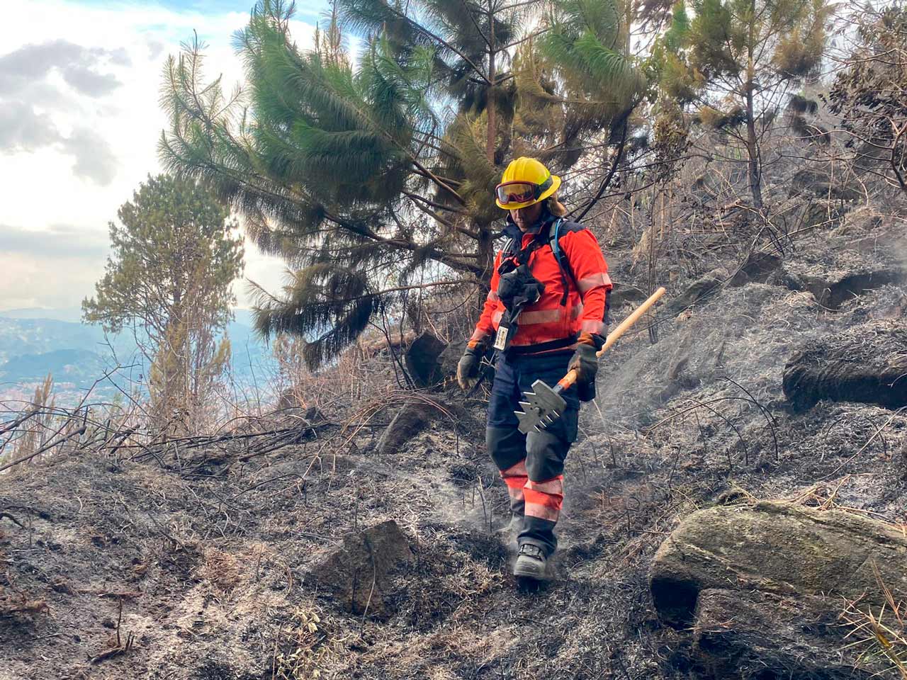 Ante un incremento del 395 % en incendios de cobertura vegetal, la Administración Distrital hace un llamado para prevenirlos Ante un incremento del 395 % en incendios de cobertura vegetal, la Administración Distrital hace un llamado para prevenirlos