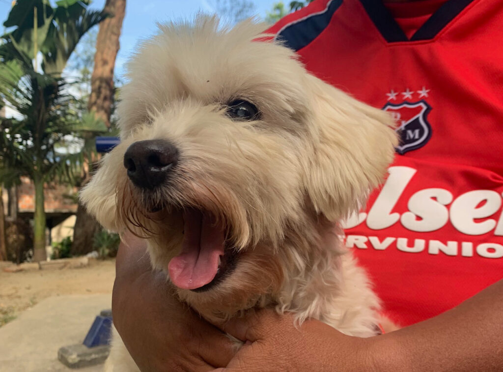 Independiente Medellín Giraldo Zuluaga y su animal de compañía