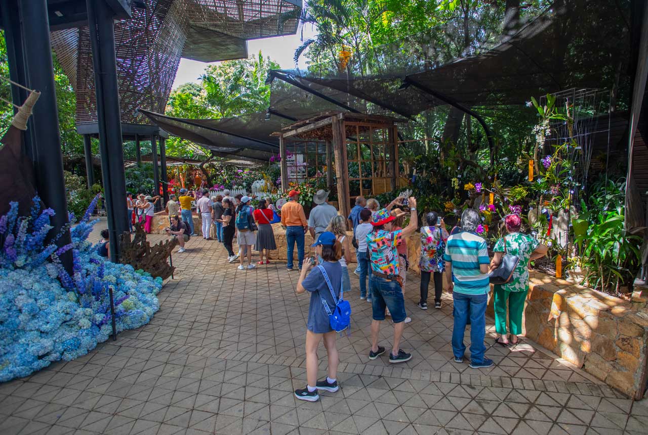 Exposición Florecer: el maravilloso mundo de orquídeas presente en la Feria de las Flores