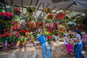 Exposición Florecer