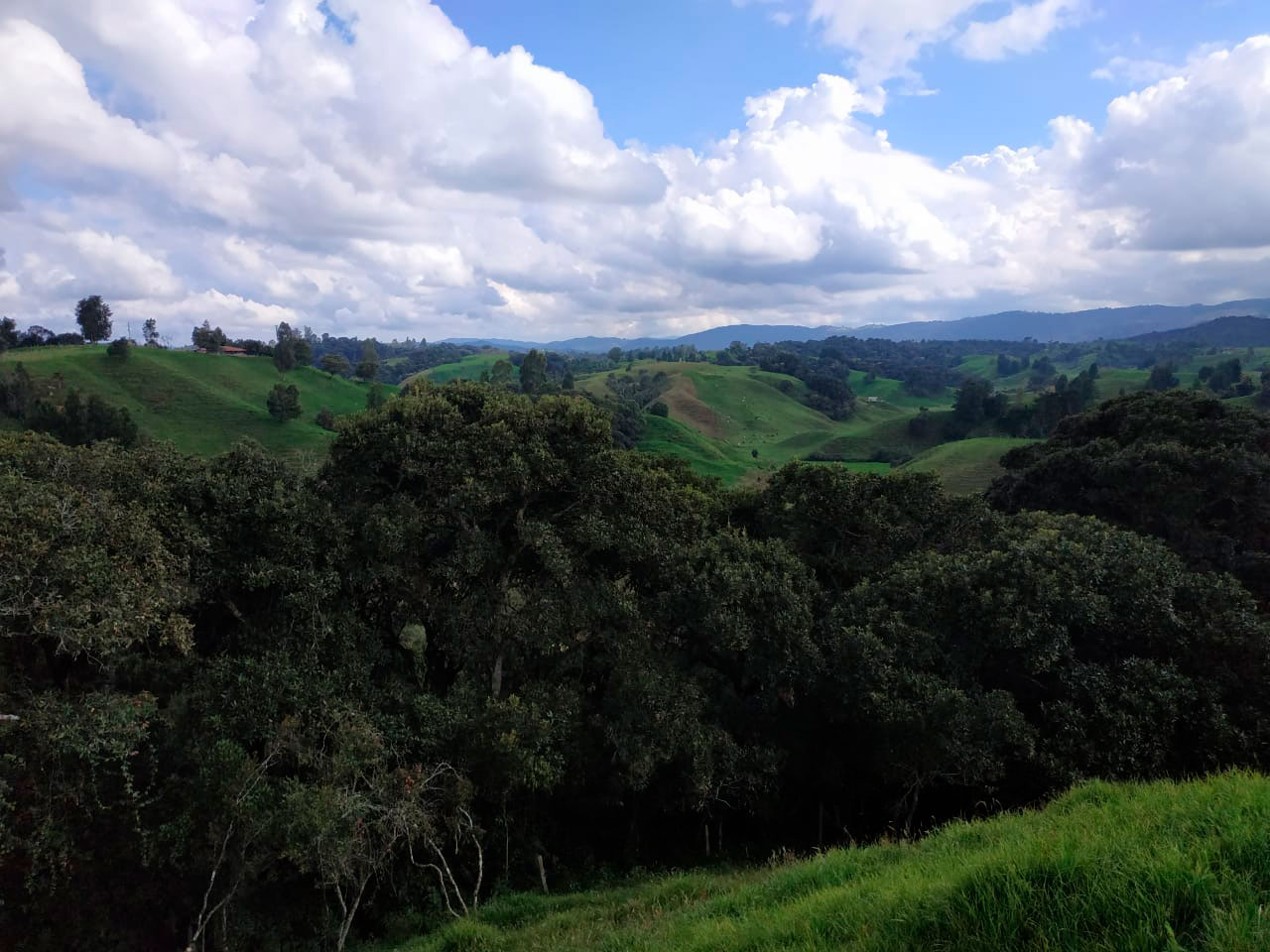 Con tres nuevas reservas naturales, el Distrito reitera su compromiso con la mitigación de los efectos del cambio climático Con tres nuevas reservas naturales, el Distrito reitera su compromiso con la mitigación de los efectos del cambio climático