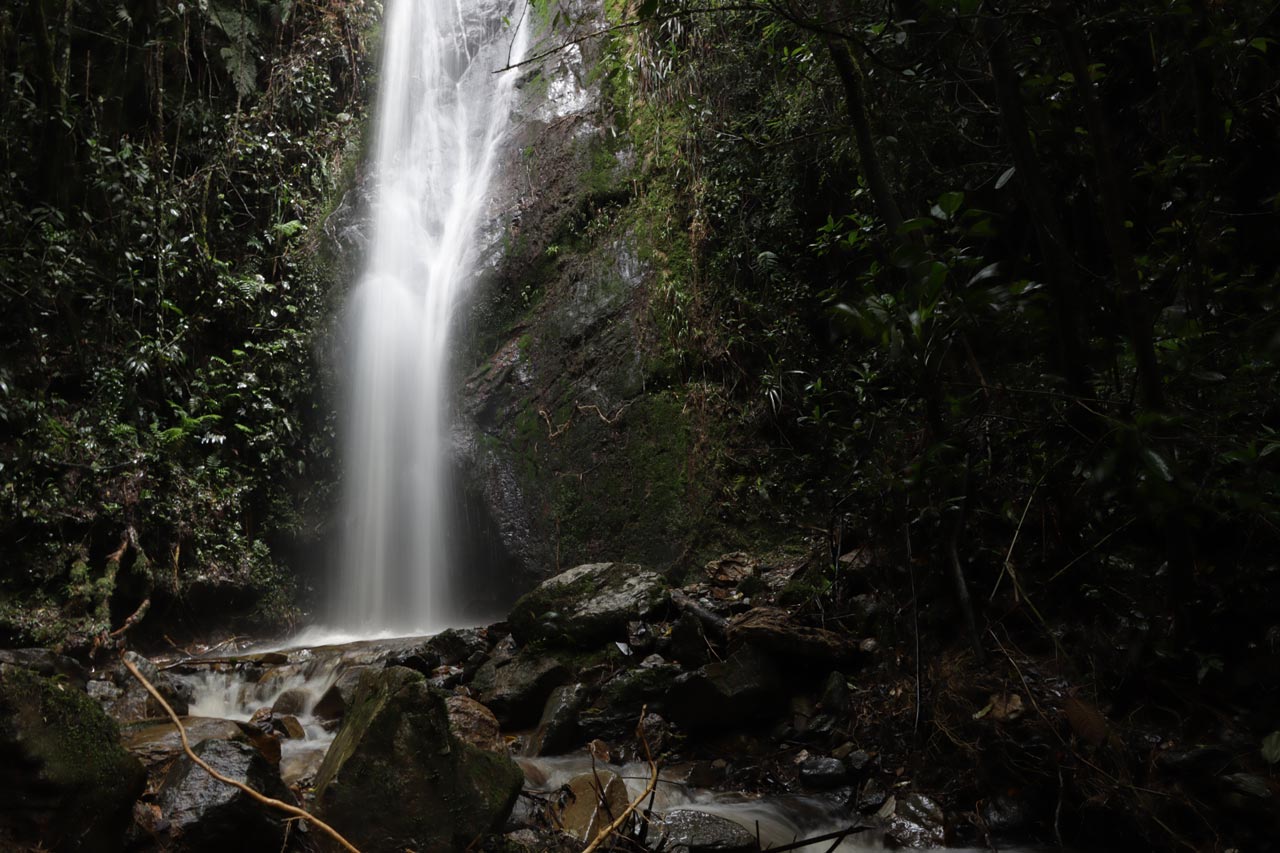 Con tres nuevas reservas naturales, el Distrito reitera su compromiso con la mitigación de los efectos del cambio climático Con tres nuevas reservas naturales, el Distrito reitera su compromiso con la mitigación de los efectos del cambio climático