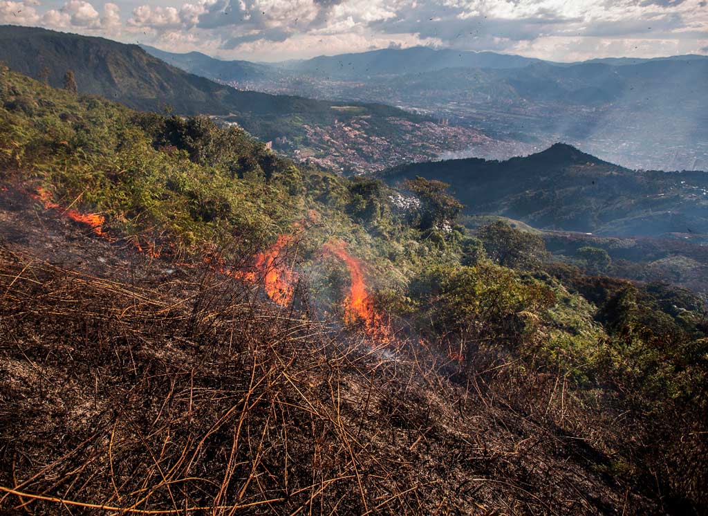 Recomendaciones para evitar incendios forestales