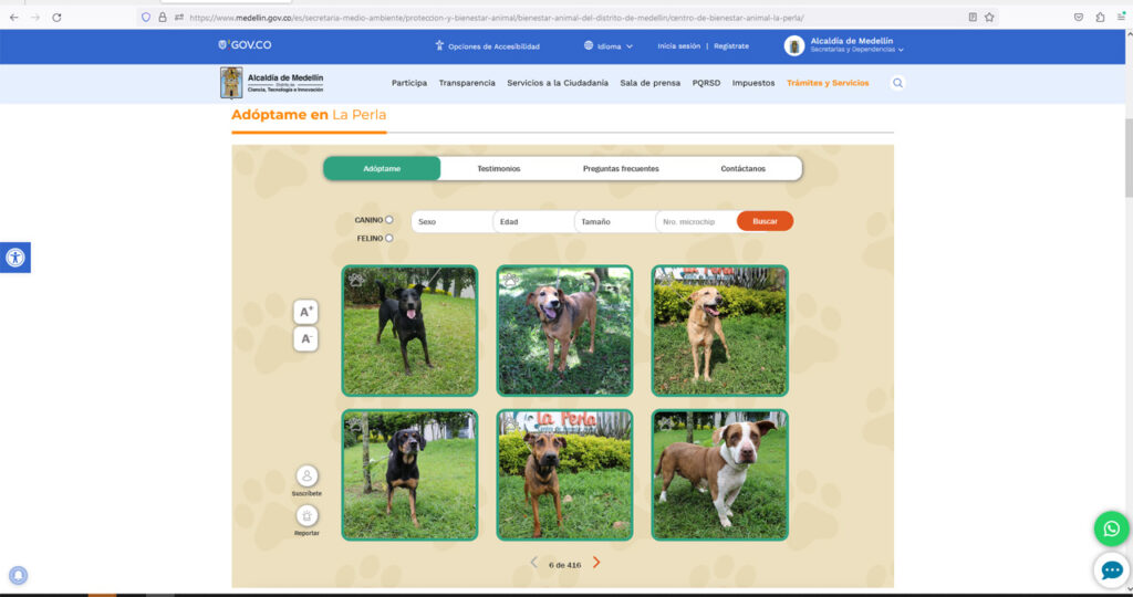 Animales en adopción - Centro de Bienestar La Perla