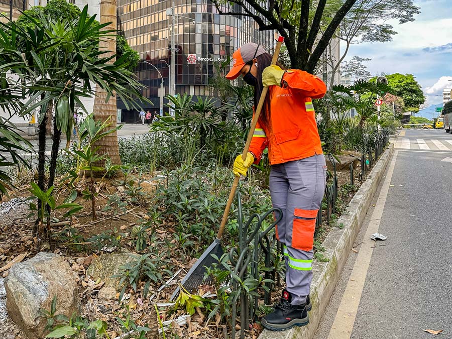 Ornato y aseo AV Oriental