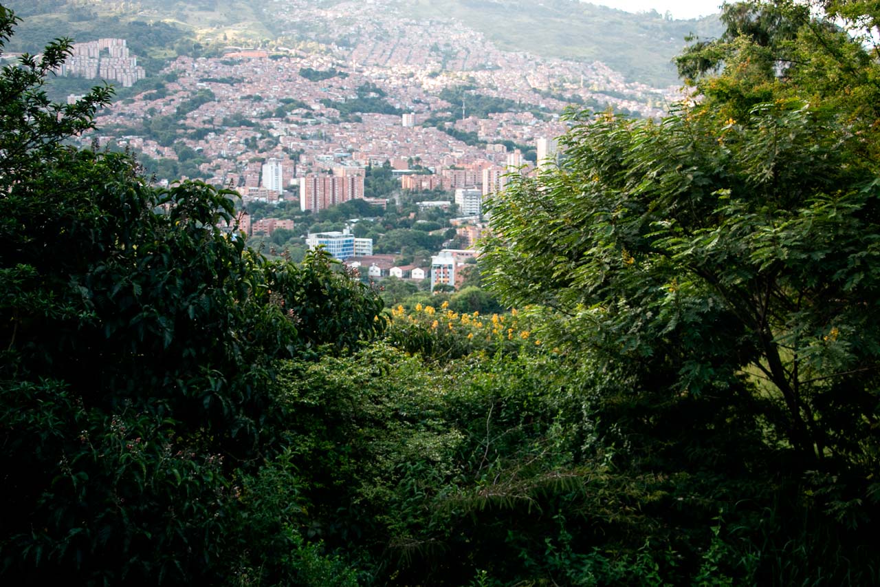En su consolidación como Ecociudad, el Distrito protege y conserva 2.862 hectáreas de ecosistemas estratégicos