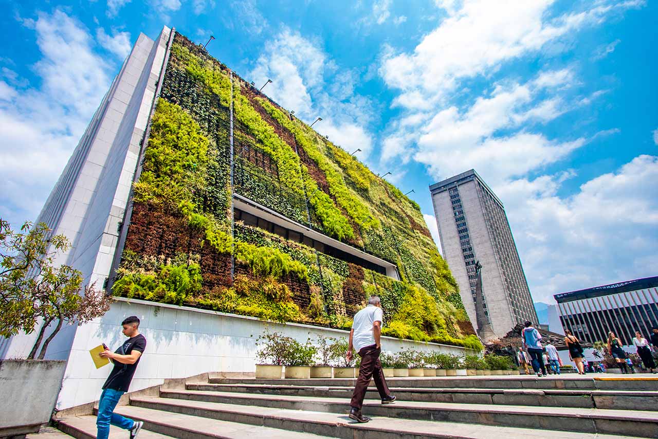 Muro verde - Concejo de Medellín