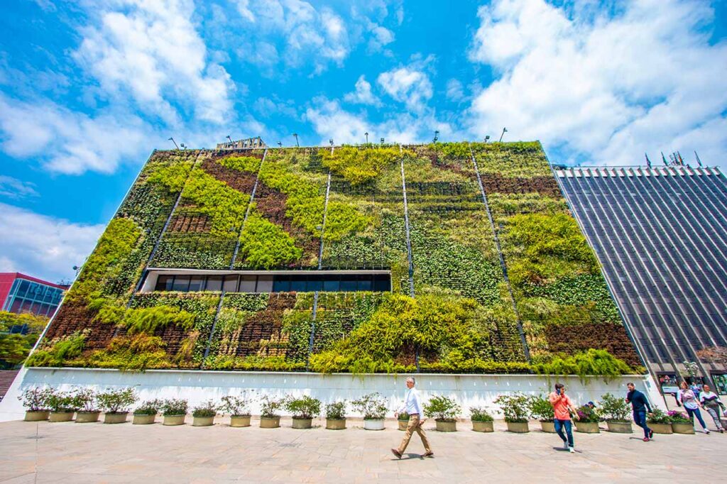 Muro verde - Concejo de Medellín