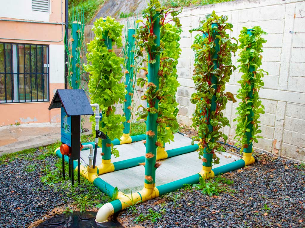 Escuelas de liderazgo