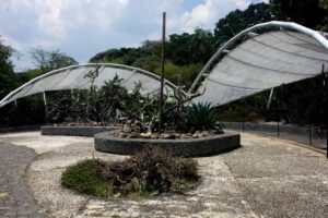Jardín del Desierto