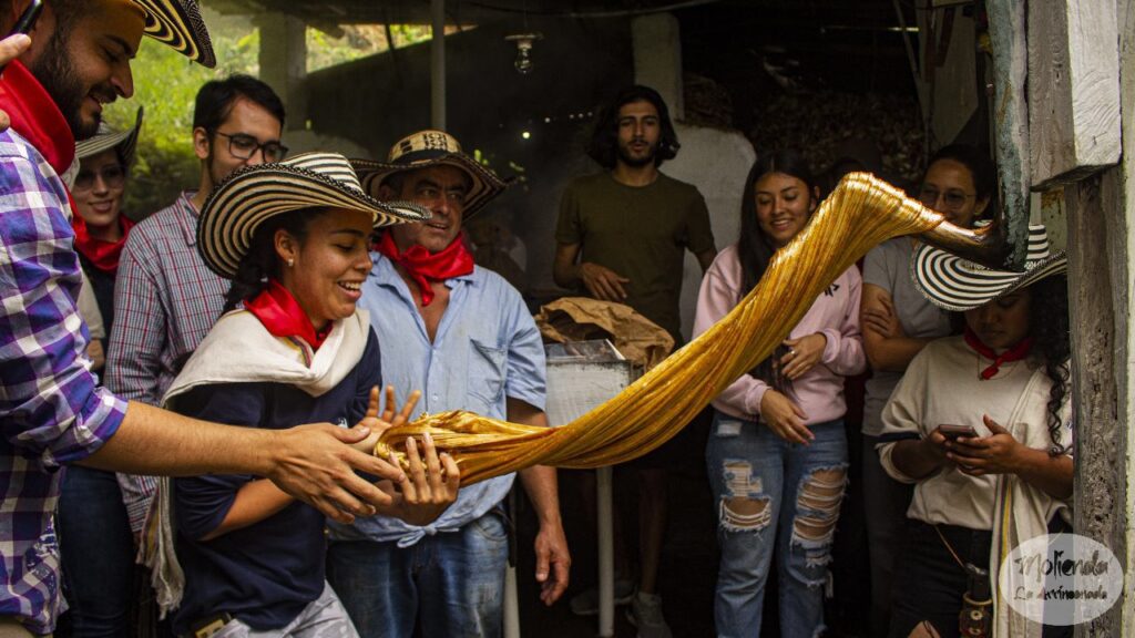 Alumbrados en Medellín