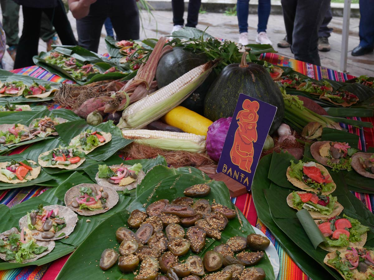 Expedición E-CREA 2023