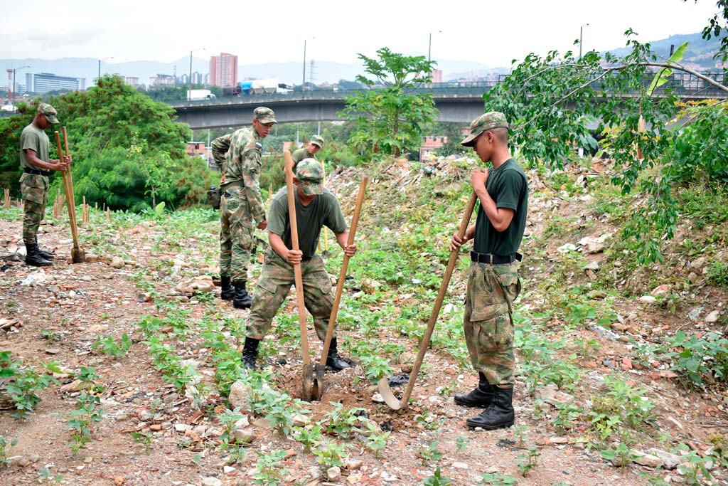 Recuperación y embellecimiento espacios verdes