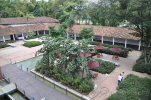 Patio de las Azaleas