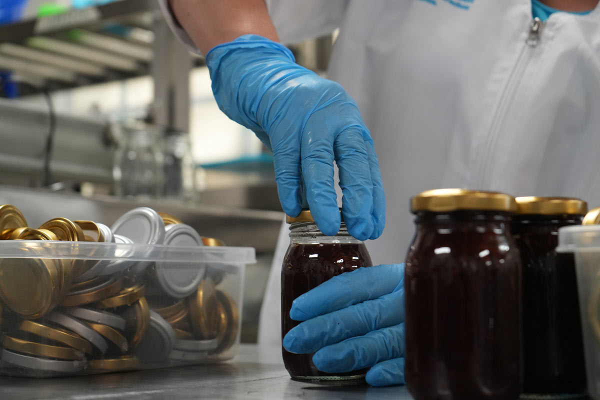 Transformación de Alimentos