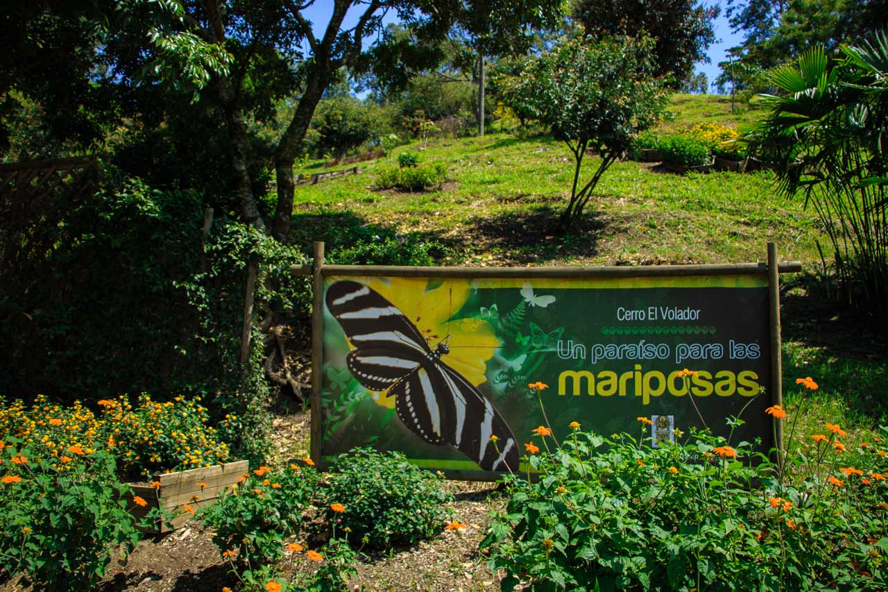 La Administración Distrital hace recomendaciones para proteger los cerros tutelares y reservas naturales, por el incremento de visitantes en época de Navidad