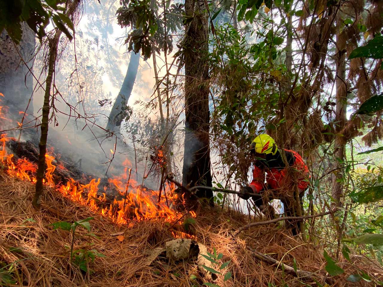 El Distrito entrega recomendaciones ante la llegada del fenómeno de El Niño