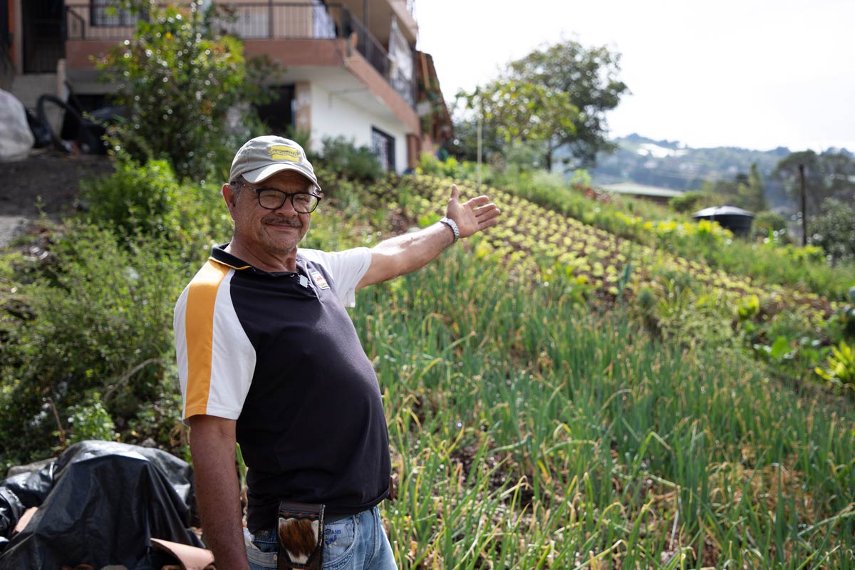 Insumos para huertas