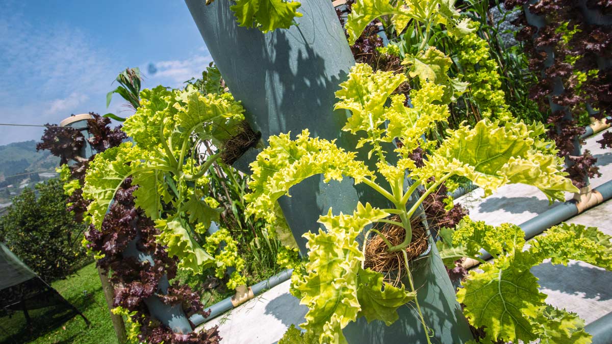 Soluciones Nodos de ciudad