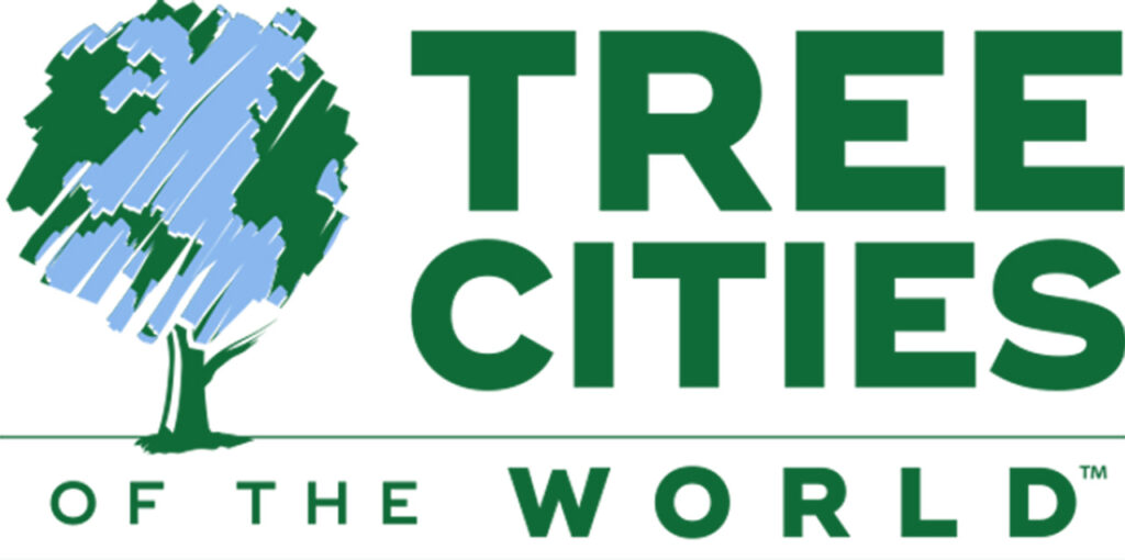 Medellín Ciudad Árbol