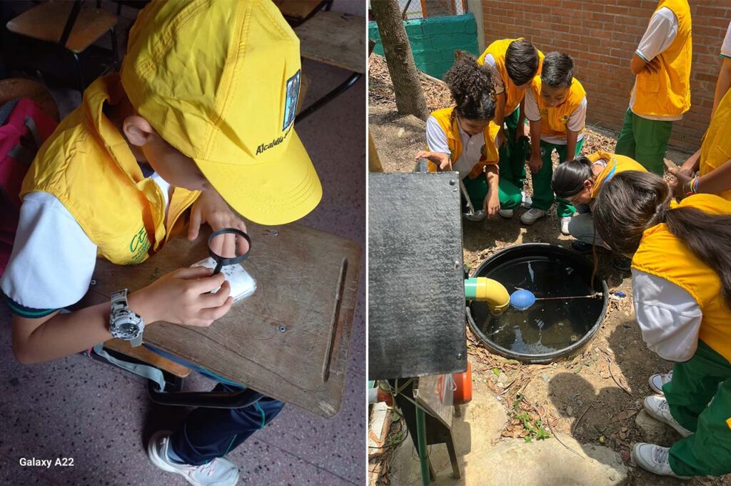 Prevención del dengue