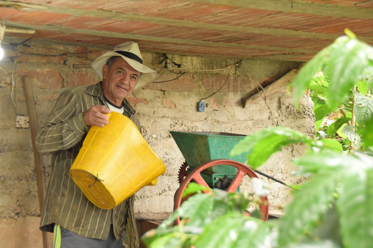 Medellín conmemora el Día Nacional del Campesino con acompañamiento integral en comercialización y formación Medellín conmemora el Día Nacional del Campesino con acompañamiento integral en comercialización y formación