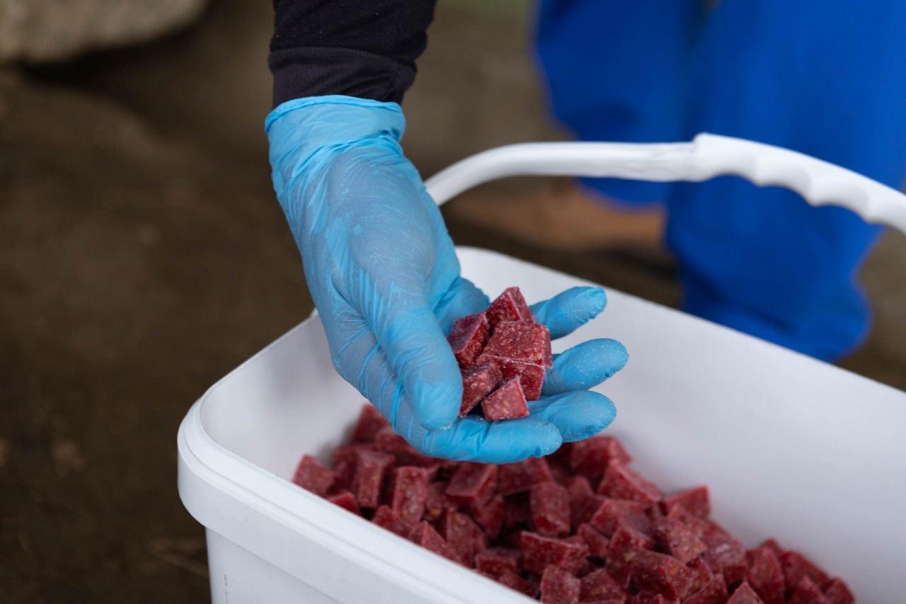 Para evitar presencia de roedores, el Distrito hace un llamado a la ciudadanía a una correcta disposición de residuos