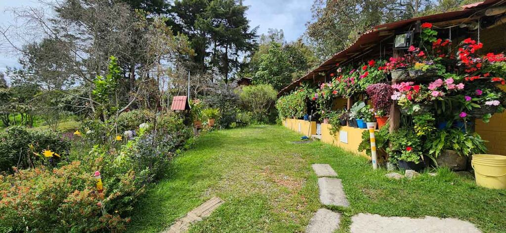 Proyecto Huertas para el Autoconsumo