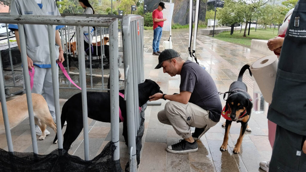 Jornada de adopción de animales de compañía por parte del Centro de Bienestar Animal La Perla de la Secretaría de Medio Ambiente