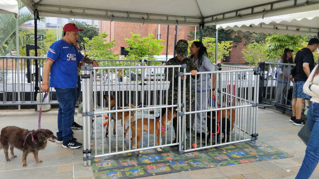 Jornada de adopción de animales de compañía por parte del Centro de Bienestar Animal La Perla de la Secretaría de Medio Ambiente