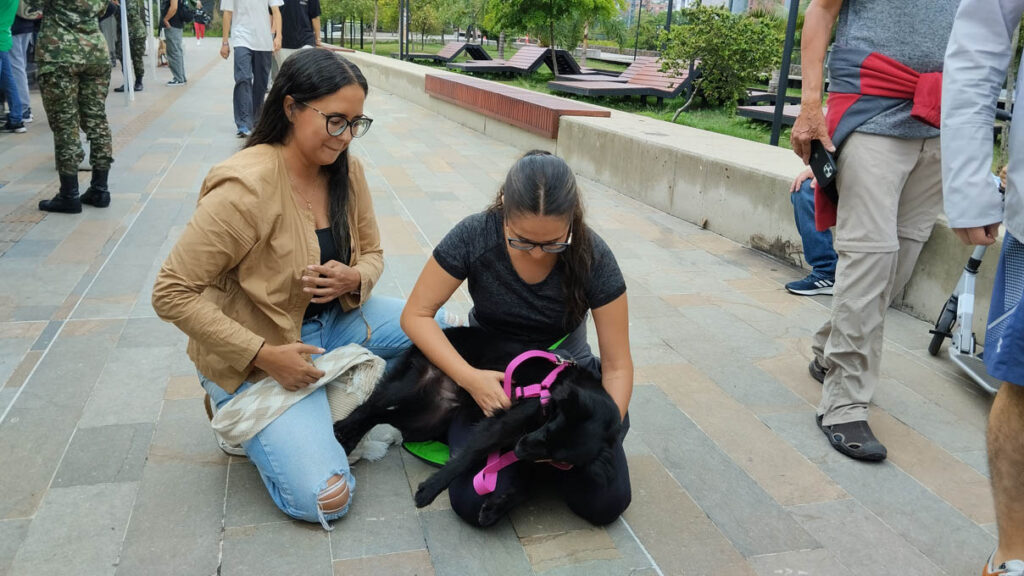 Jornada de adopción de animales de compañía por parte del Centro de Bienestar Animal La Perla de la Secretaría de Medio Ambiente