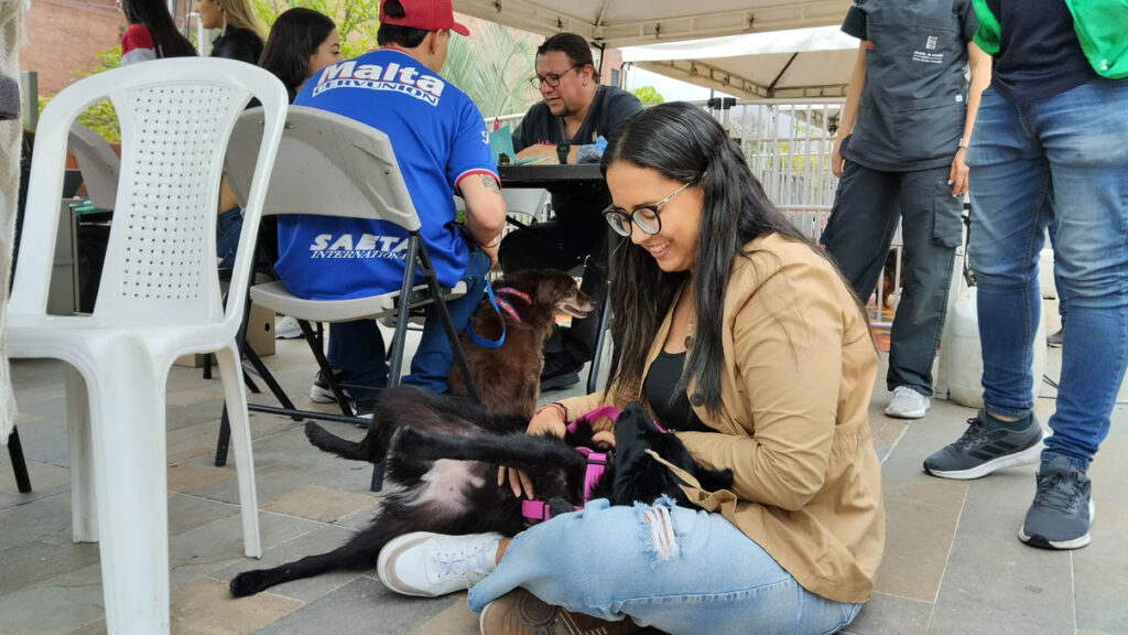 Jornada de adopción de animales de compañía por parte del Centro de Bienestar Animal La Perla de la Secretaría de Medio Ambiente