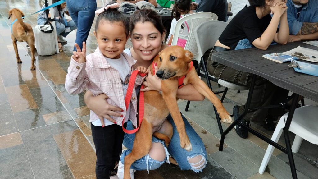 Jornada de adopción de animales de compañía por parte del Centro de Bienestar Animal La Perla de la Secretaría de Medio Ambiente