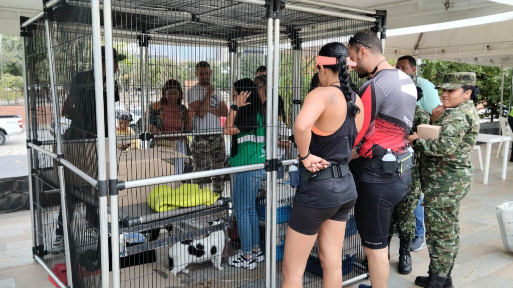 Jornada de adopción de animales de compañía por parte del Centro de Bienestar Animal La Perla de la Secretaría de Medio Ambiente