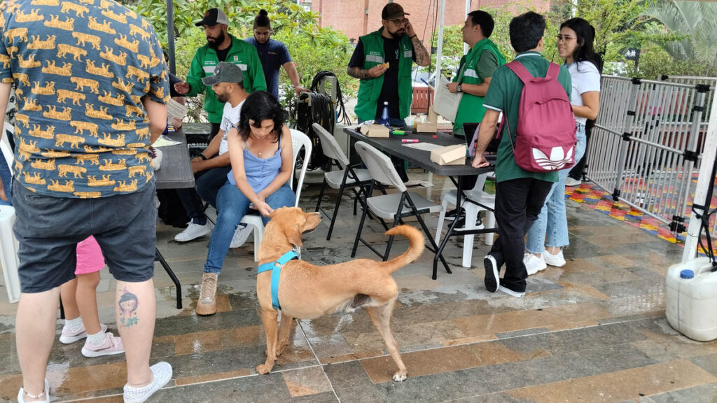 Jornada de adopción de animales de compañía por parte del Centro de Bienestar Animal La Perla de la Secretaría de Medio Ambiente