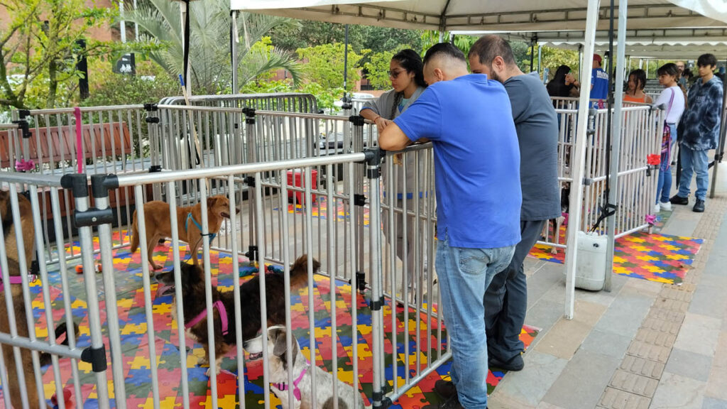 Jornada de adopción de animales de compañía por parte del Centro de Bienestar Animal La Perla de la Secretaría de Medio Ambiente