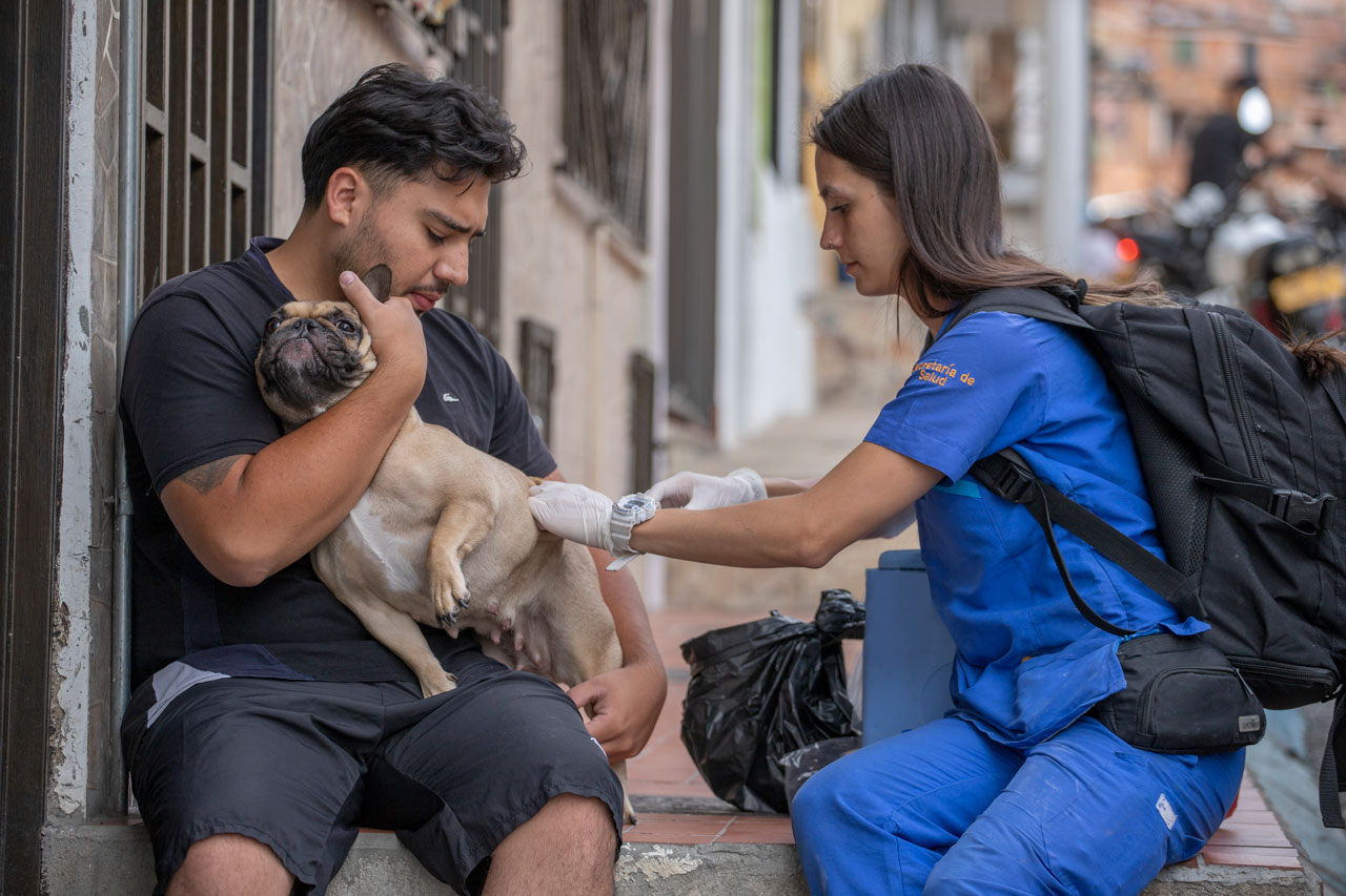 ABC Mordeduras de animales