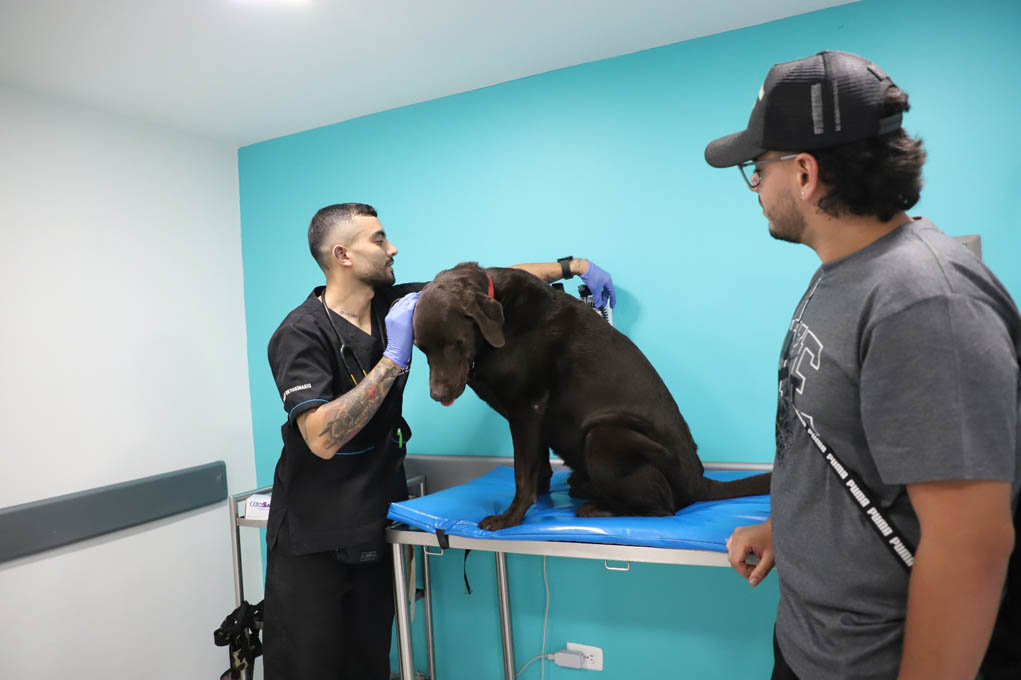 Este año, el Distrito ha efectuado 458 visitas a centros veterinarios para velar por su correcto funcionamiento