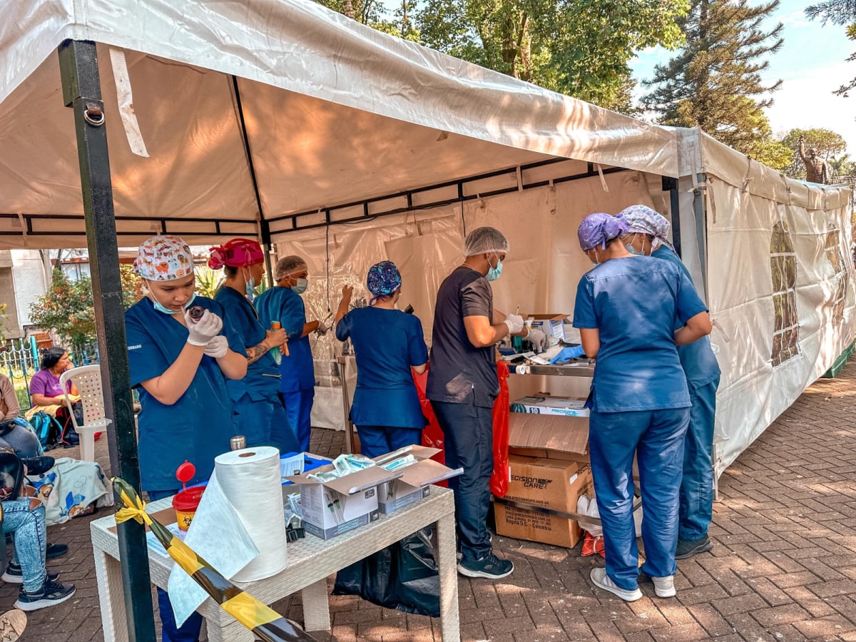 Más de 14.000 caninos y felinos serán esterilizados en jornadas gratuitas en Medellín
