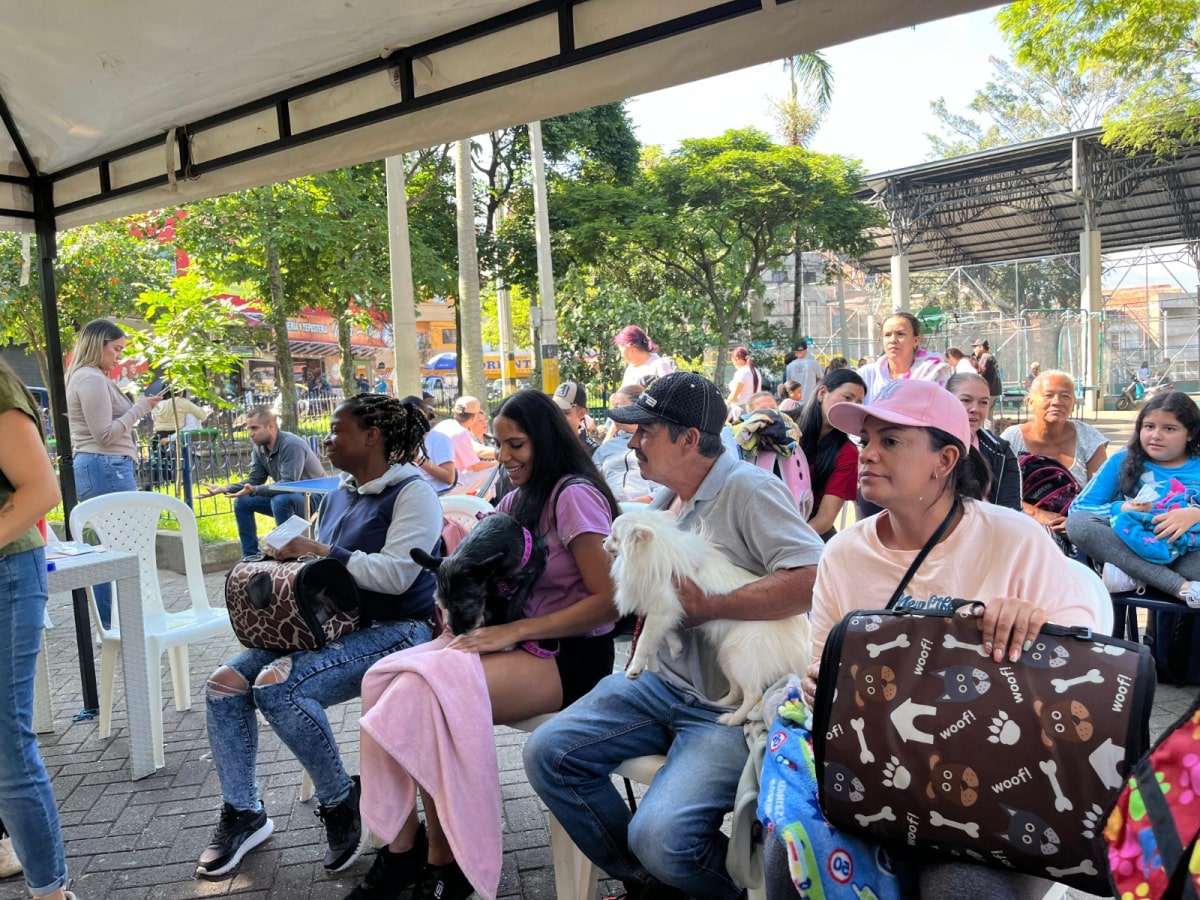 Más de 14.000 caninos y felinos serán esterilizados en jornadas gratuitas en Medellín