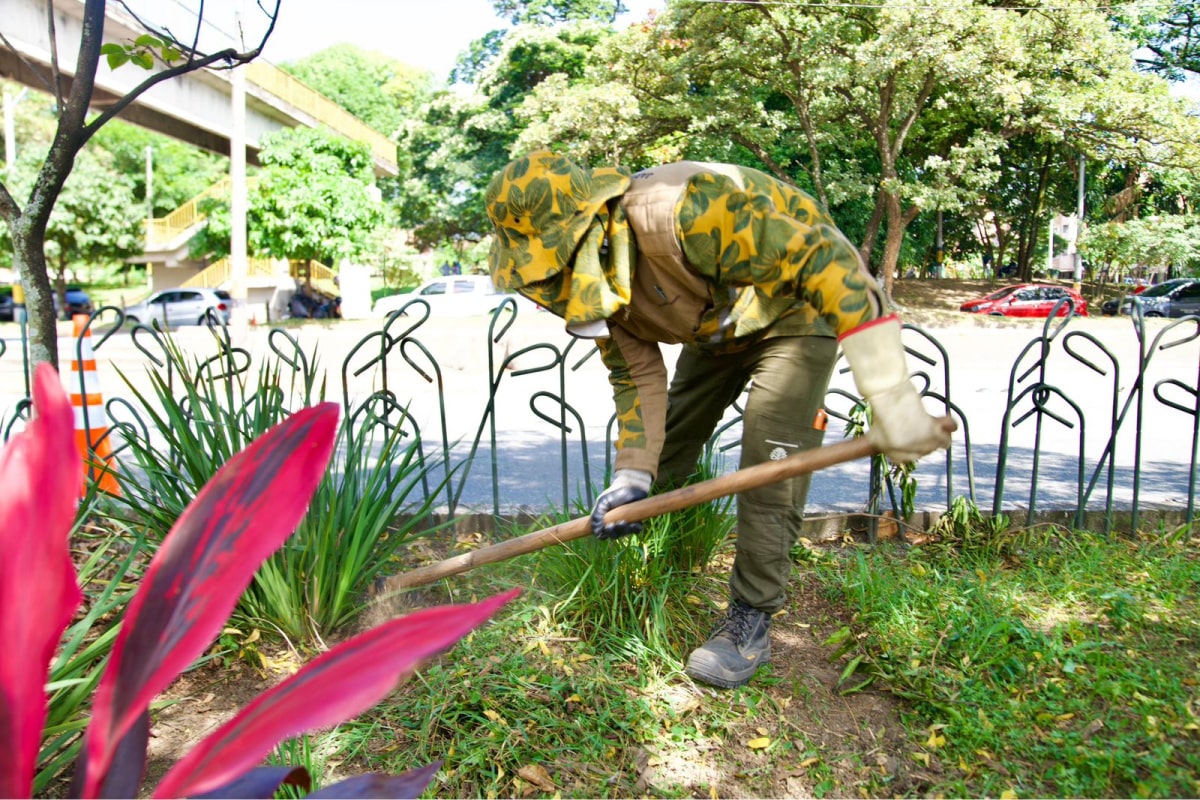 “Medellín vuelve a florecer”: alcalde Federico Gutiérrez Zuluaga anuncia la recuperación de los corredores verdes