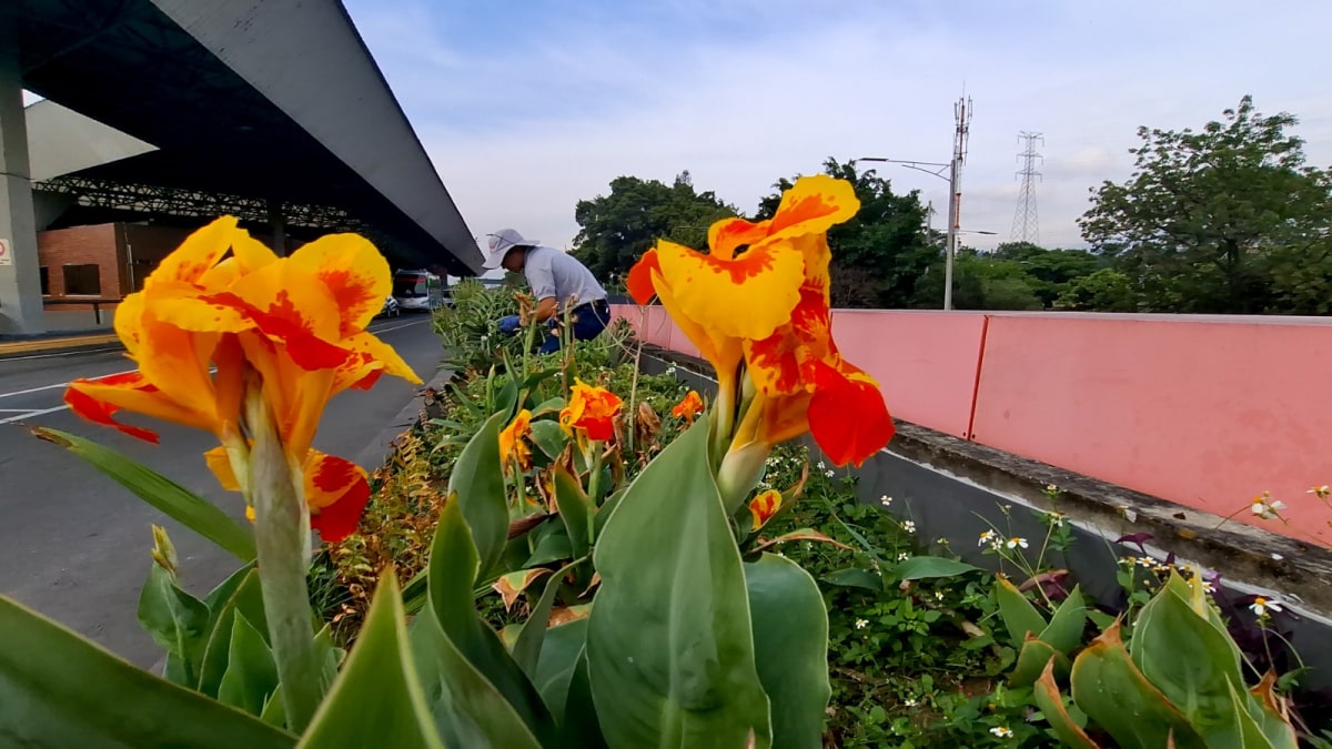 Cerca de 280.000 personas llegarán a Medellín para disfrutar la Feria de las Flores
