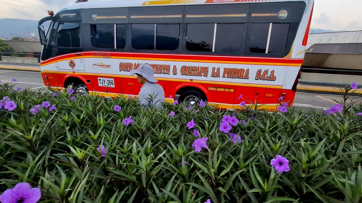 Cerca de 280.000 personas llegarán a Medellín para disfrutar la Feria de las Flores