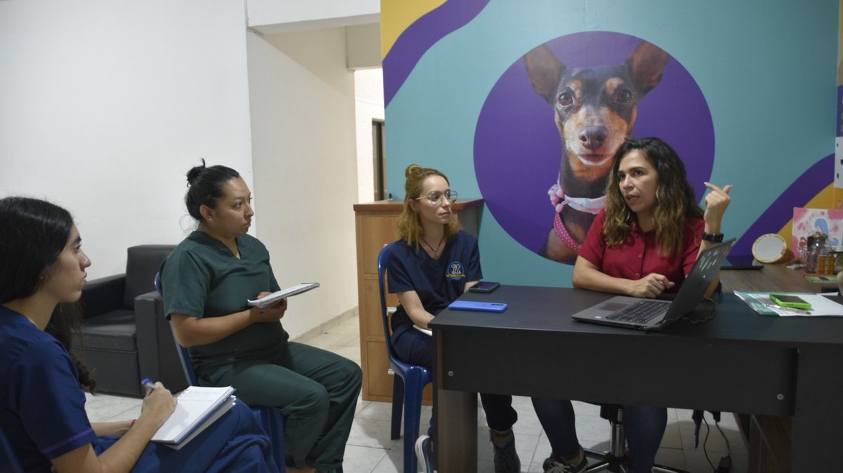 117 emprendedores y empresarios de Medellín fortalecerán sus iniciativas de negocio, gracias a recursos de Presupuesto Participativo