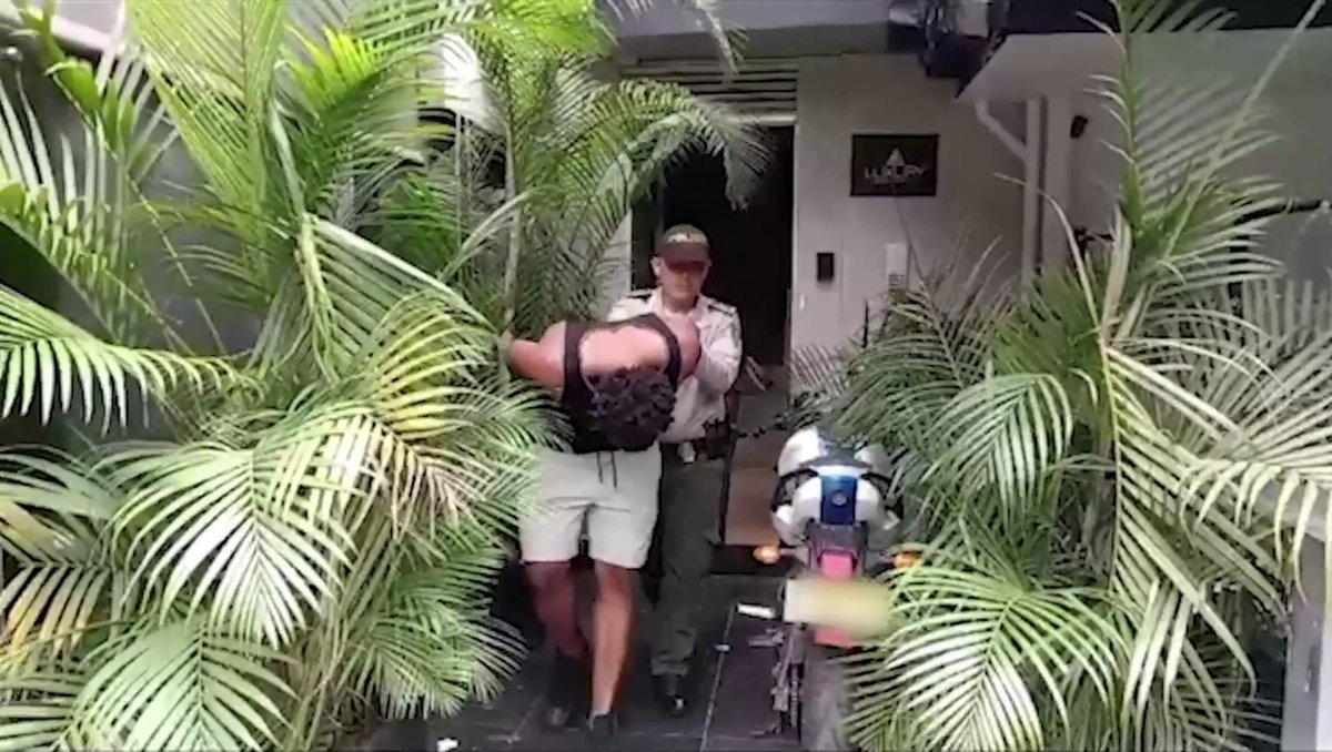 Durante 2024 en Medellín, han sido capturados 1.387 extranjeros cometiendo delitos, lo que representa un incremento del 5% Durante 2024 en Medellín, han sido capturados 1.387 extranjeros cometiendo delitos, lo que representa un incremento del 5%