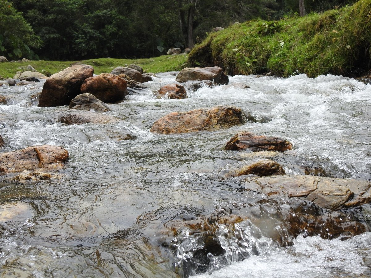 Medellín refuerza la protección del agua mediante una alianza con la Corporación Cuenca Verde Medellín refuerza la protección del agua mediante una alianza con la Corporación Cuenca Verde